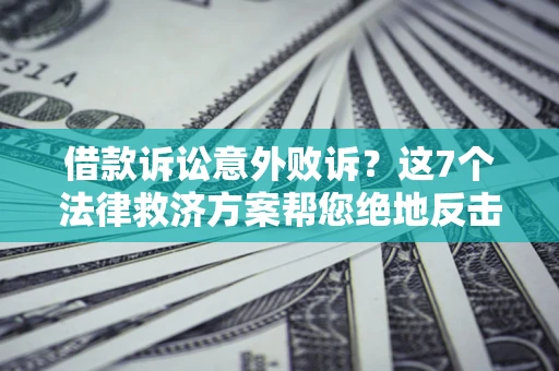 武汉借款诉讼意外败诉？这7个法律救济方案帮您绝地反击！
