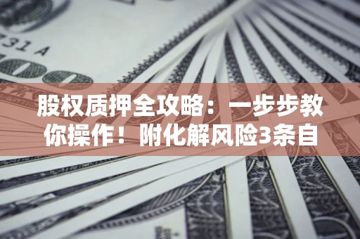 武汉股权质押全攻略：一步步教你操作！附化解风险3条自救法则