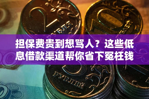 武汉担保费贵到想骂人？这些低息借款渠道帮你省下冤枉钱