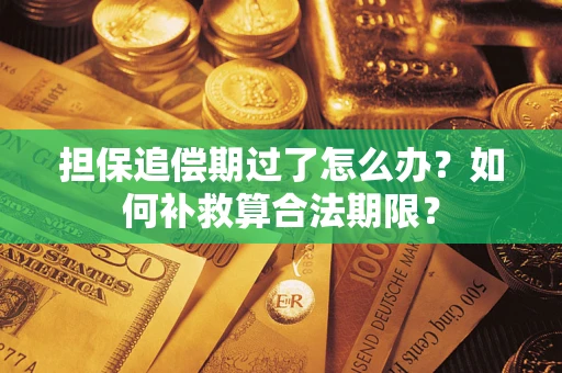 武汉担保追偿期过了怎么办？如何补救算合法期限？