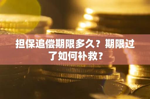 武汉担保追偿期限多久？期限过了如何补救？