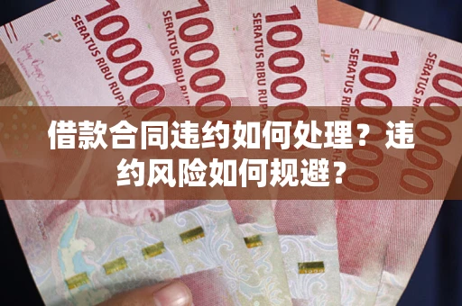 武汉借款合同违约如何处理？违约风险如何规避？