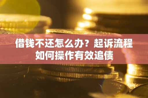 武汉借钱不还怎么办？起诉流程如何操作有效追债