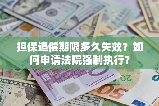 武汉担保追偿期限多久失效？如何申请法院强制执行？