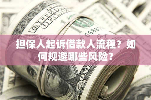 武汉担保人起诉借款人流程？如何规避哪些风险？