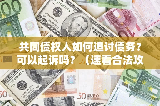 武汉共同债权人如何追讨债务？可以起诉吗？（速看合法攻略）