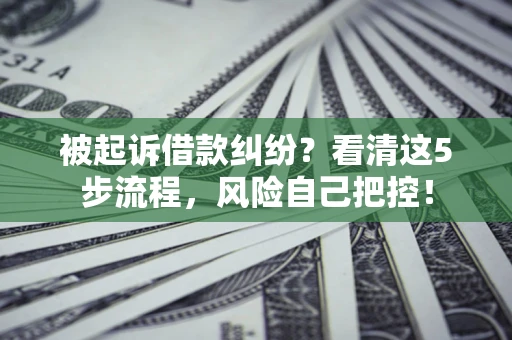武汉被起诉借款纠纷？看清这5步流程，风险自己把控！