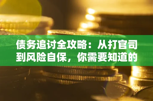 武汉债务追讨全攻略：从打官司到风险自保，你需要知道的法律智慧