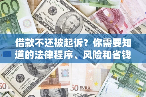 武汉借款不还被起诉？你需要知道的法律程序、风险和省钱技巧
