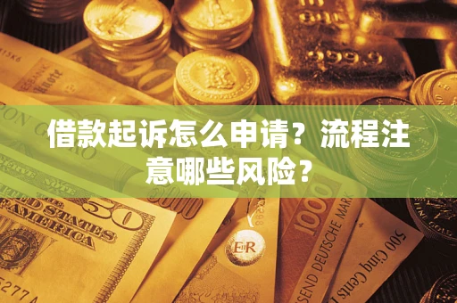 武汉借款起诉怎么申请？流程注意哪些风险？